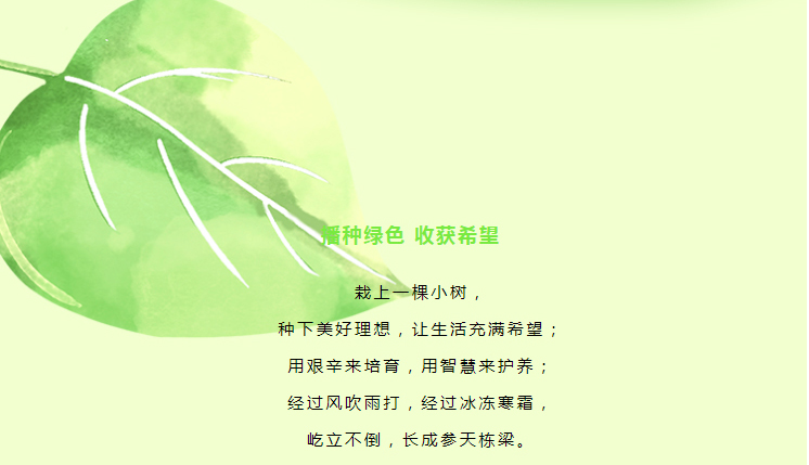 拥抱春天，播种绿色—天利热工植树活动_01